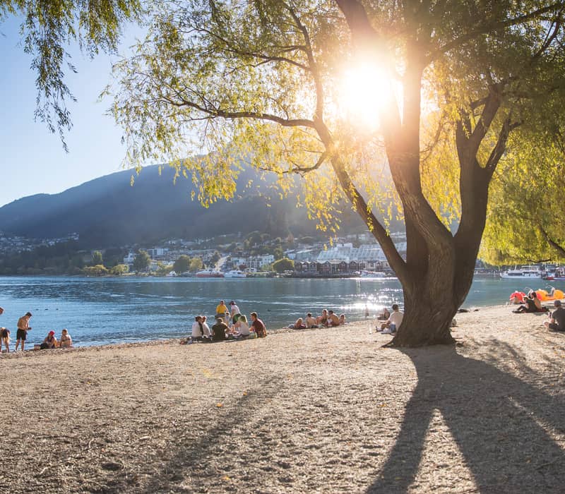 People lounging on the pebbled shore of Queenstown Beach under the shade of large willow trees, with the sun shining brightly over Lake Wakatipu and the surrounding mountains.