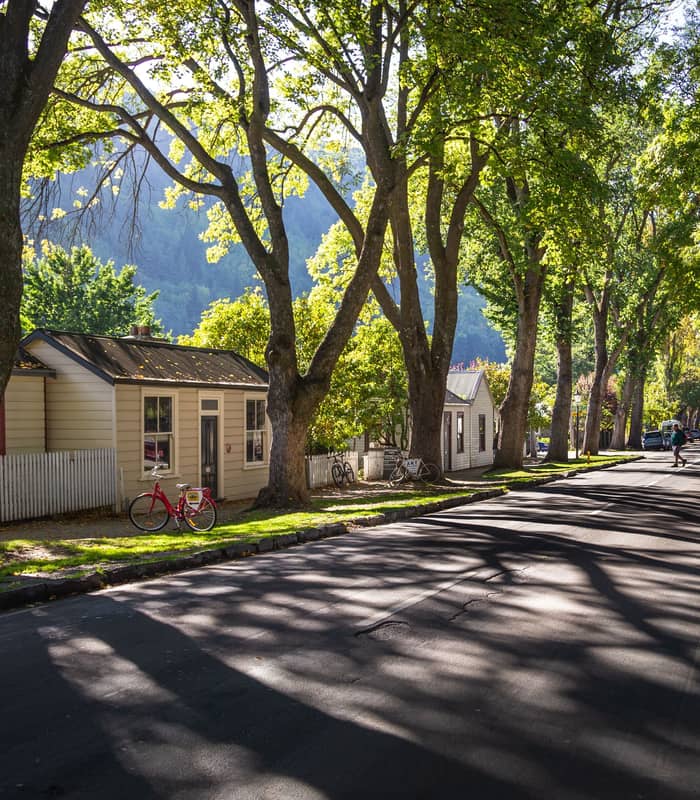 A road with houses, green trees in front and blue sky behind