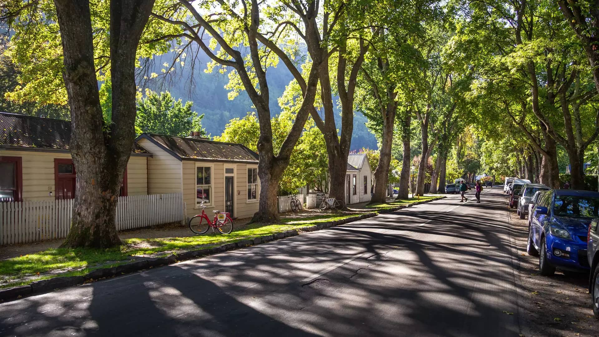A road with houses, green trees in front and blue sky behind