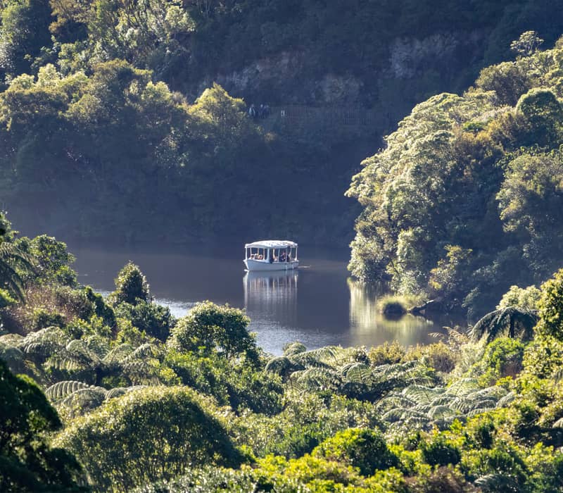 Boat on a tranquil lake surrounded by dense trees and greenery at Zealandia wildlife sanctuary.