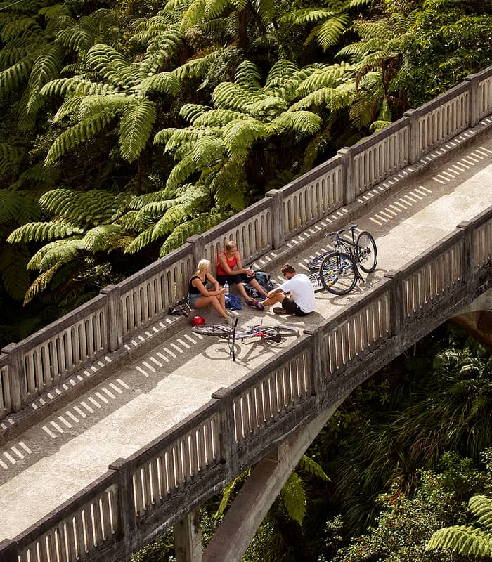 Group relaxing on the Bridge to Nowhere.