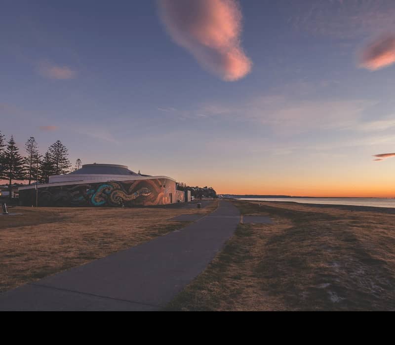Coastal walkway at sunset with a pathway, graffiti building, pine trees, and calm sea under colorful clouds.