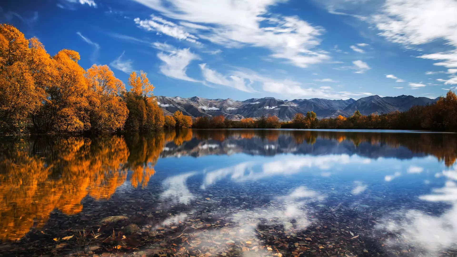 A wide landscape of Lake Ruataniwha in autumn, featuring brilliant orange trees and snow-dusted mountains reflected in the still, clear water under a blue sky with streaky white clouds.