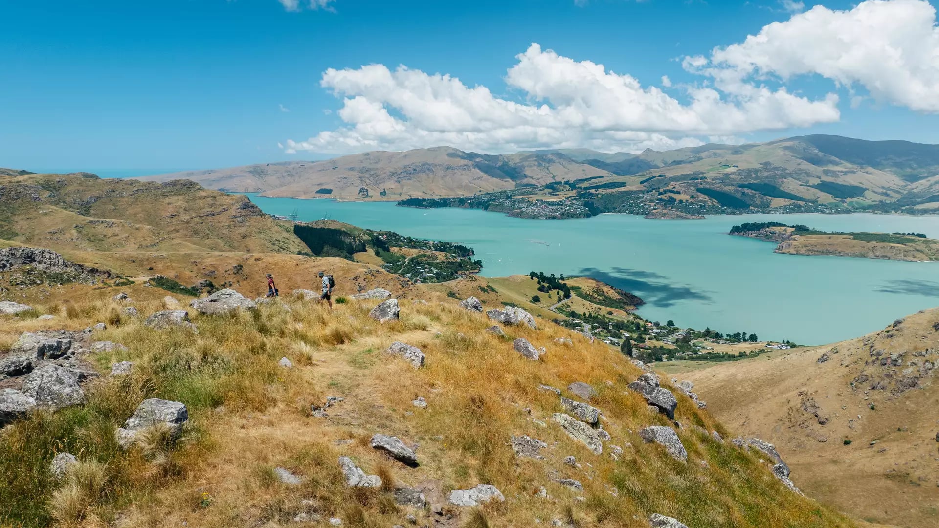Two hikers on a rocky ridge overlooking the turquoise Lyttelton Harbour and Quail Island.
