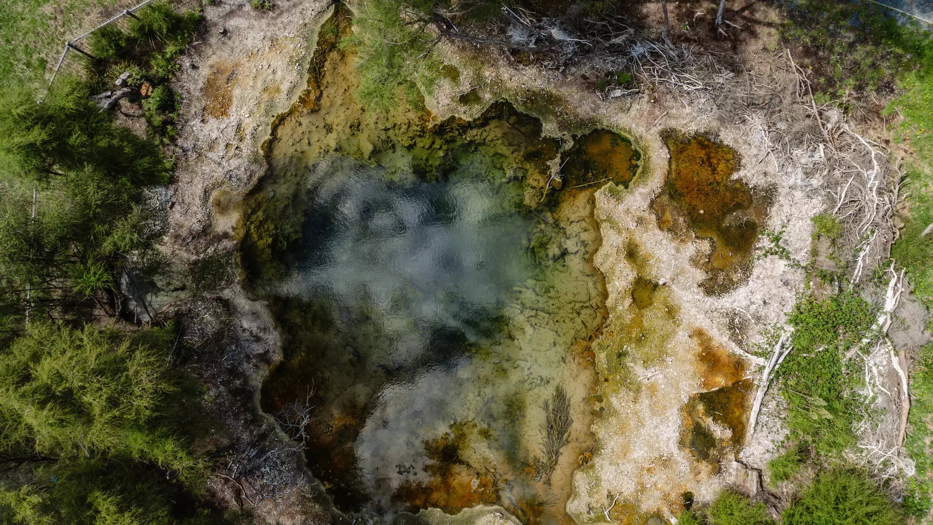 Aerial view of a colorful geothermal hot spring surrounded by green trees.