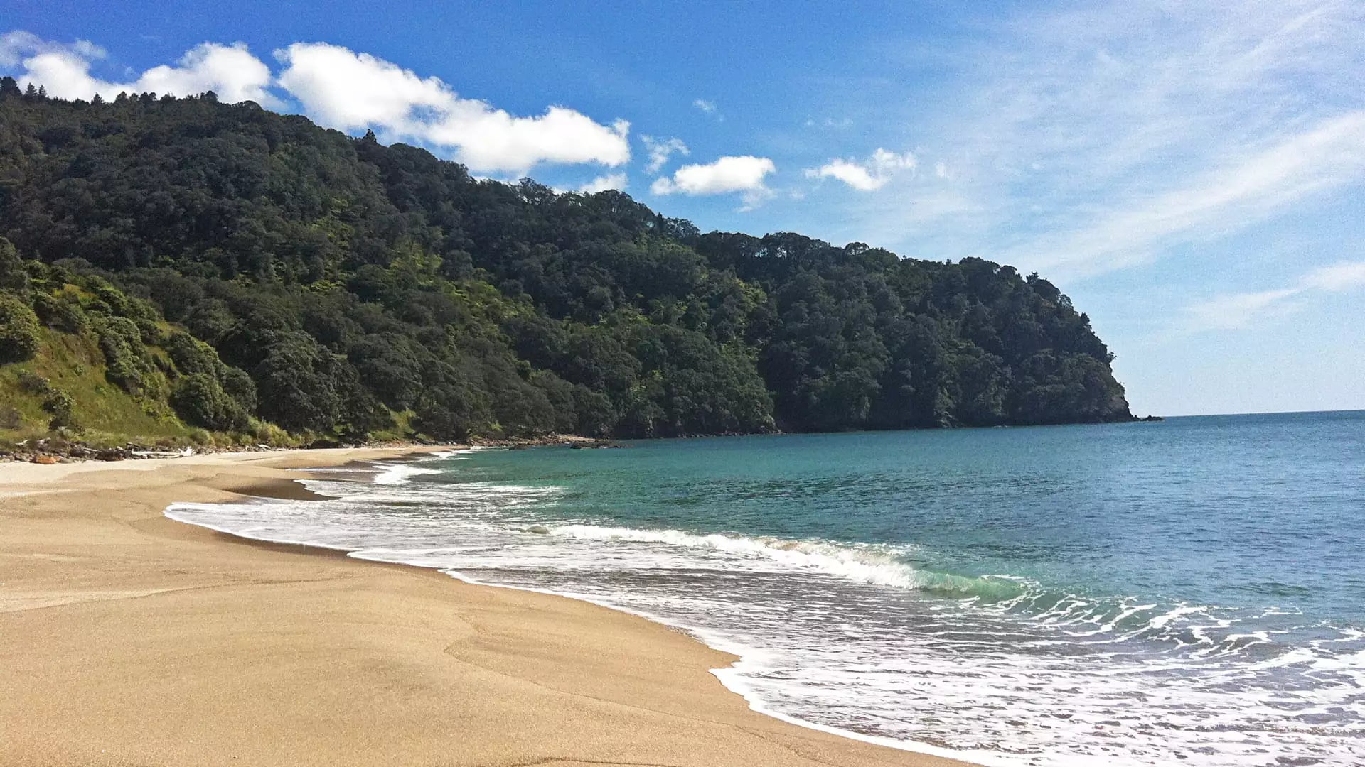 A wide, sunlit view of the golden sand beach and turquoise waves at Orakawa Bay, bordered by a dense, steep forest under a blue sky with light clouds.