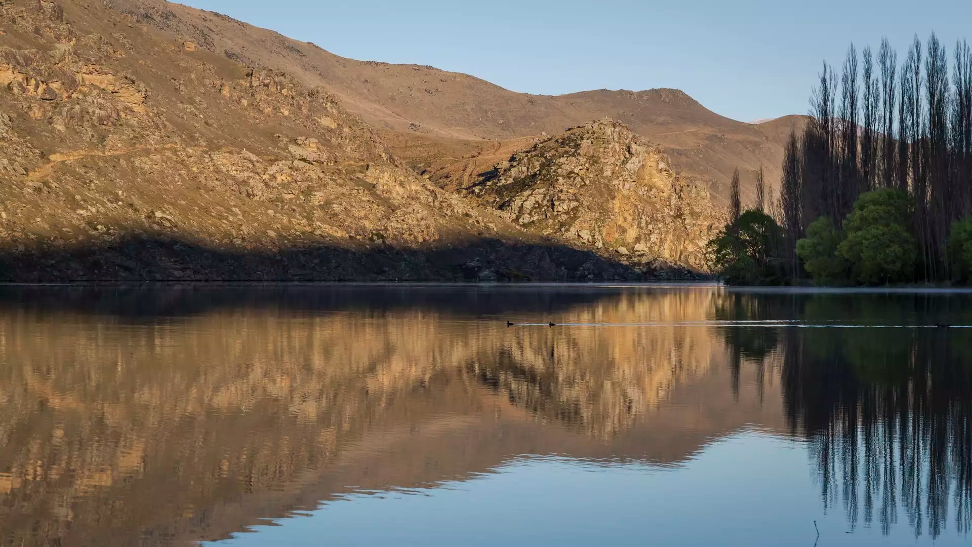 A mirror-like reflection of rugged, golden-brown rocky hills and tall poplar trees on the still surface of Lake Dunstan under soft afternoon light.
