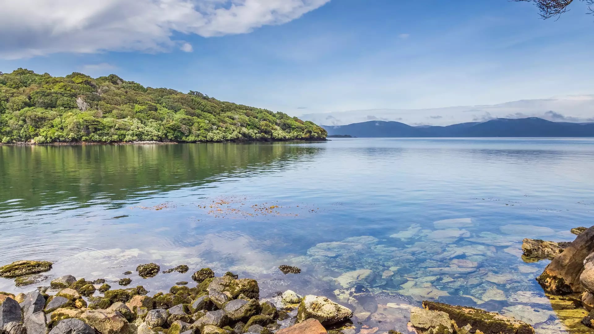 Rocky shore with clear water and green forested island under blue sky at Half Moon Bay