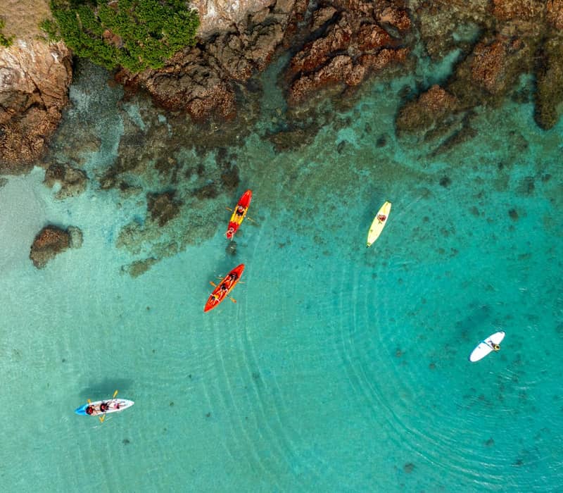 Kayakers and paddleboarders in clear turquoise water near a rocky Bay of Islands shoreline.