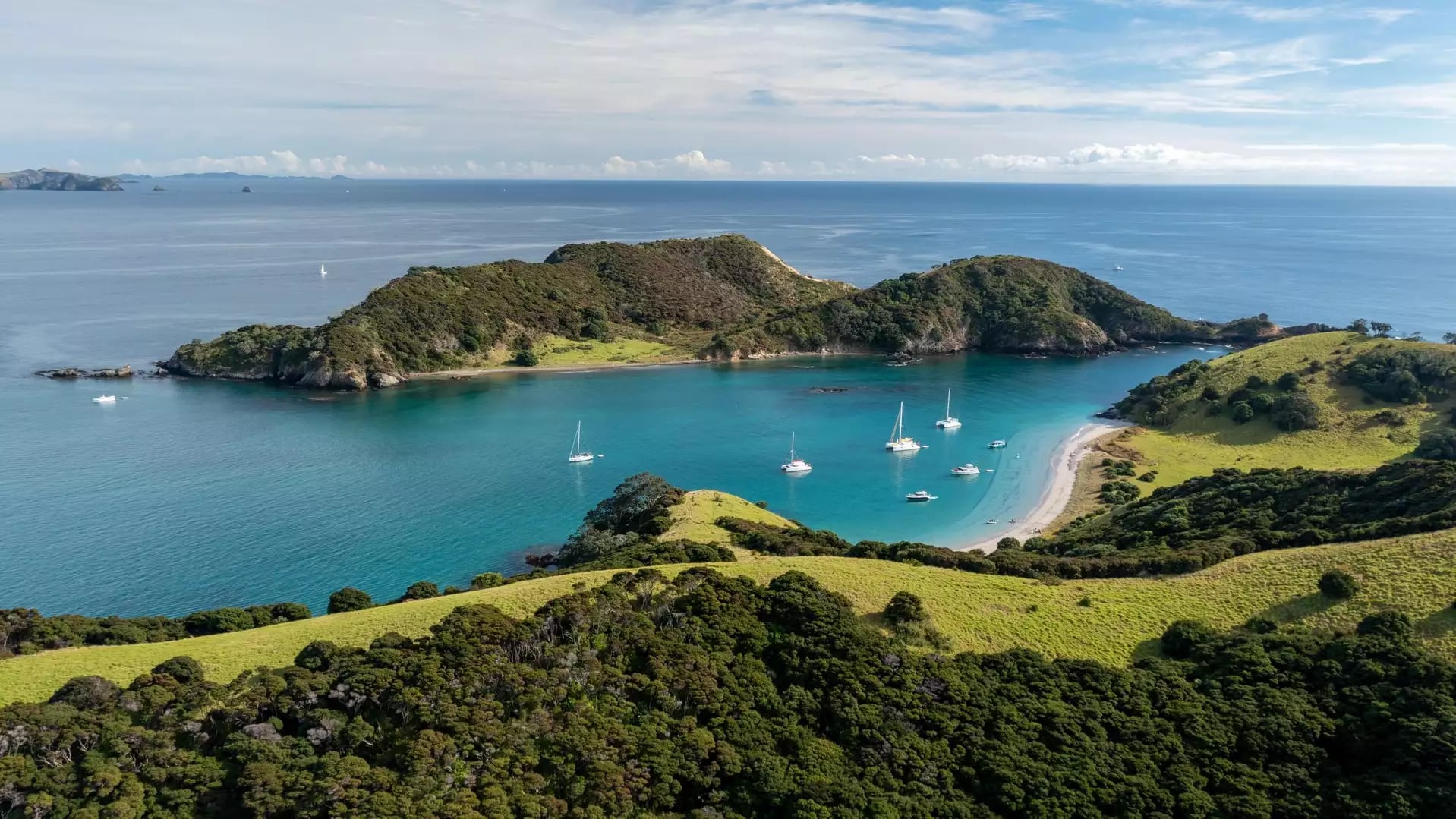 Sailboats anchored in a sheltered Bay of Islands bay surrounded by green hills.