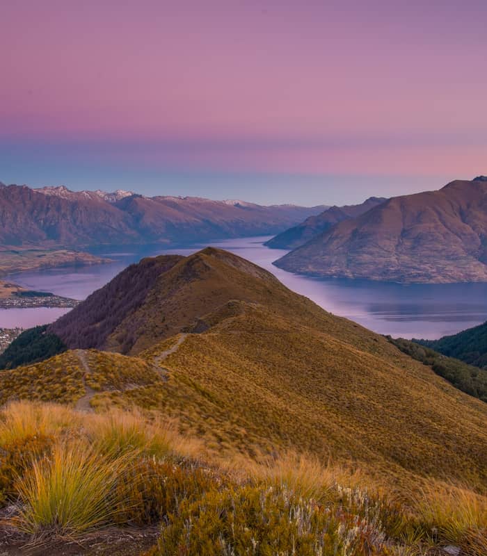 Sunset over mountains and lake with golden grass in foreground and purple-pink sky
