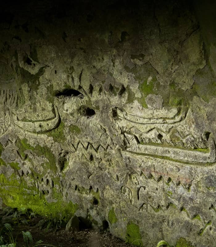 Rock carvings on a mossy cave wall with ferns growing at the base.