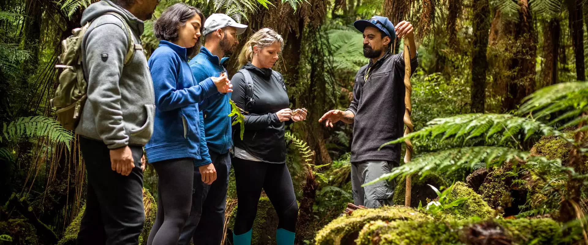 Group of hikers listening to guide on a forest trail surrounded by ferns and moss.