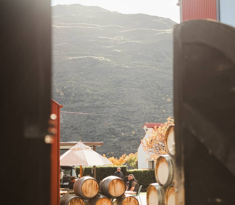 Wine barrels stacked in a vineyard courtyard with mountains and people sitting outdoors.